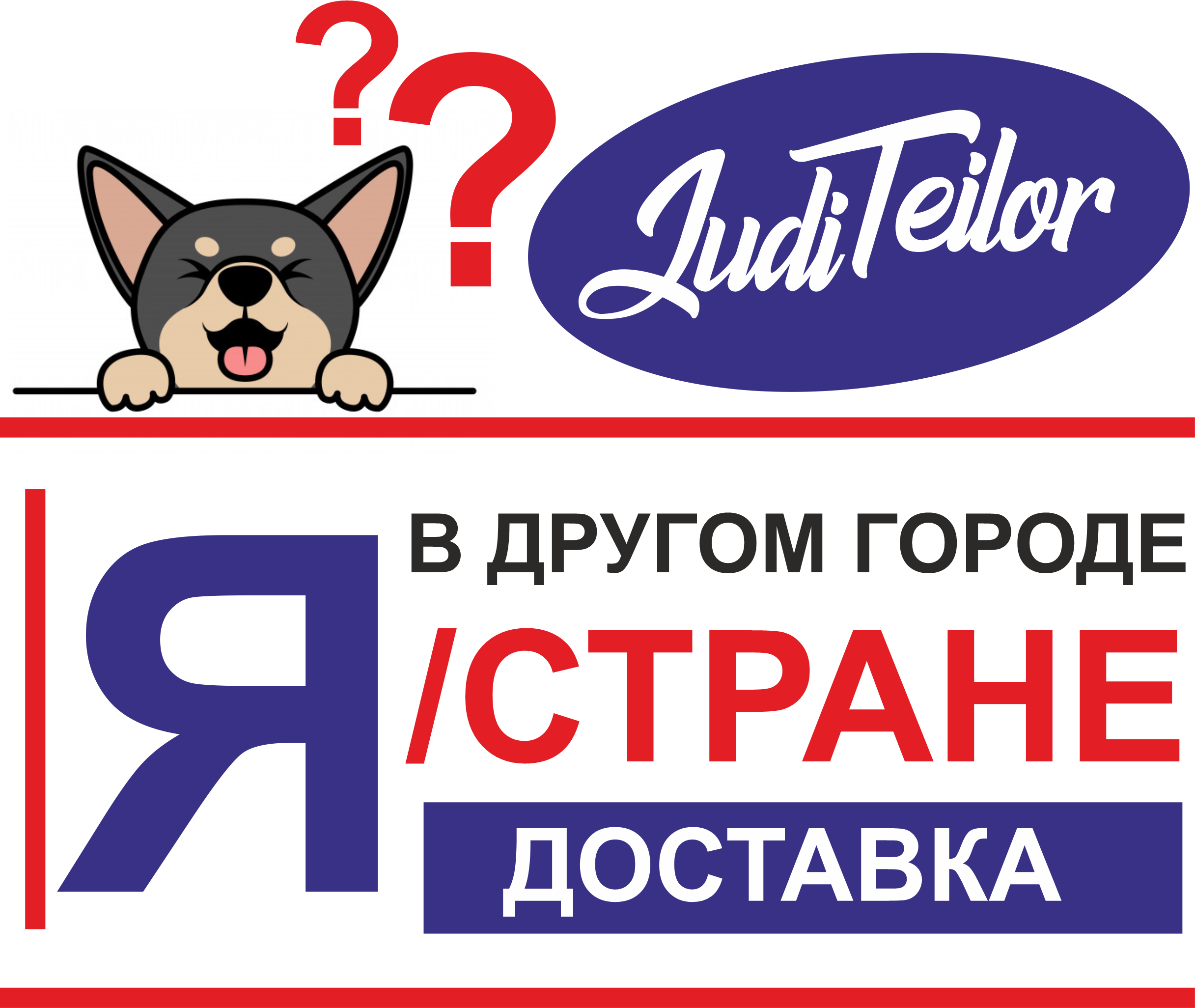 Что делать, если я в другом городе или стране? - Питомник чихуахуа Беларусь  JudiTeilor 🐶 FCI kennel chihuahua